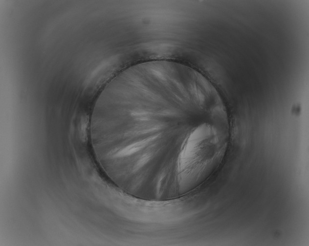 X0000111510026200907281325