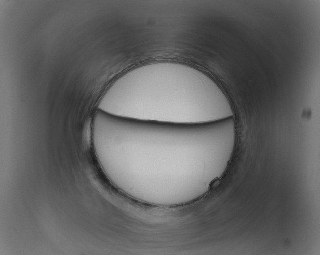 X0000111510028200907281325