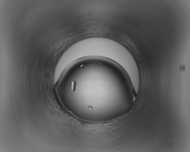X0000111510029200907281325