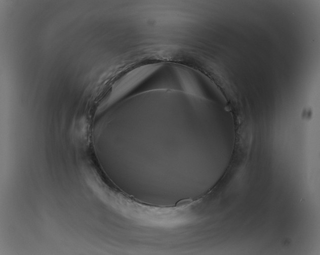 X0000111510031200907281325