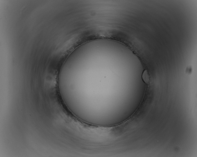 X0000111510032200907281325