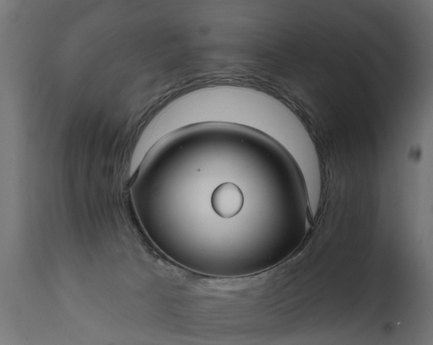 X0000111510033200907281325