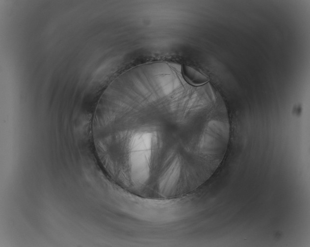 X0000111510034200907281325