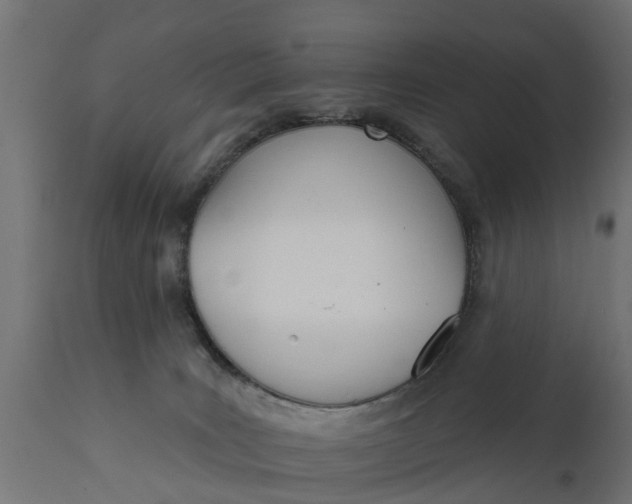X0000111510035200907281325
