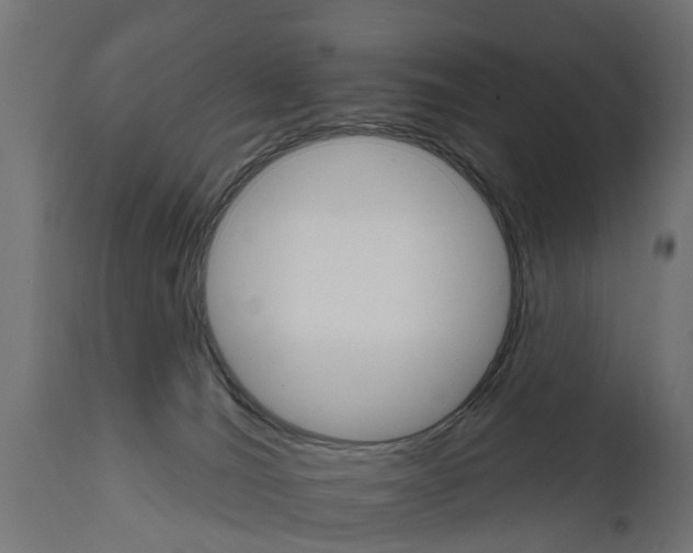 X0000111510036200907281325