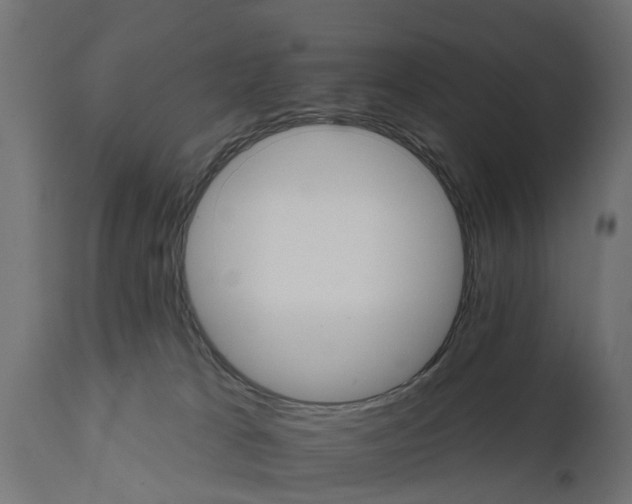 X0000111510037200907281325