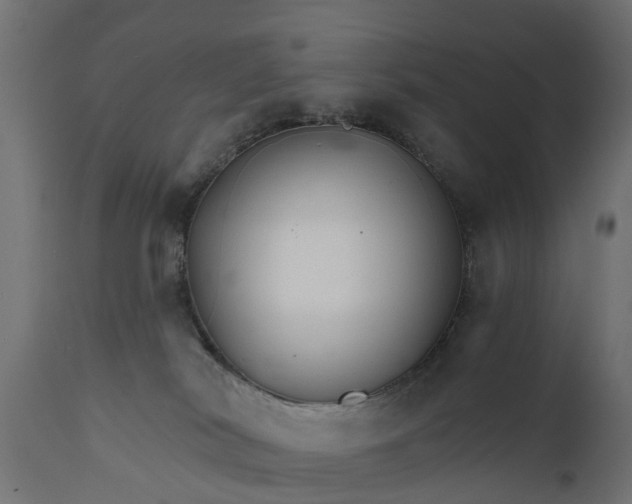 X0000111510038200907281325