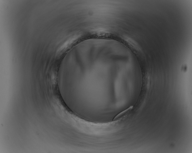 X0000111510039200907281325