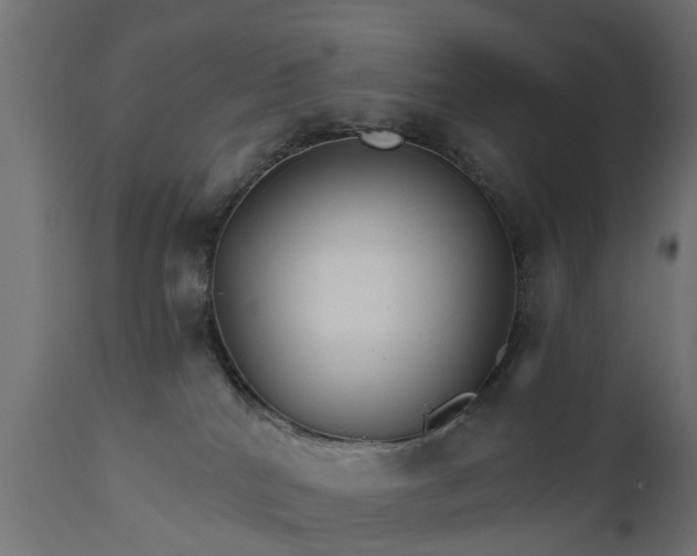 X0000111510040200907281325