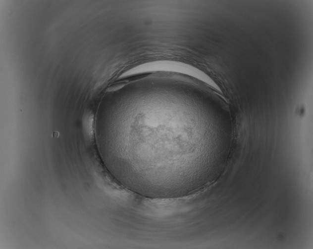 X0000111510041200907281325