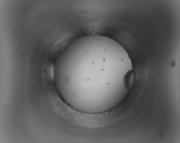 X0000111510042200907281325