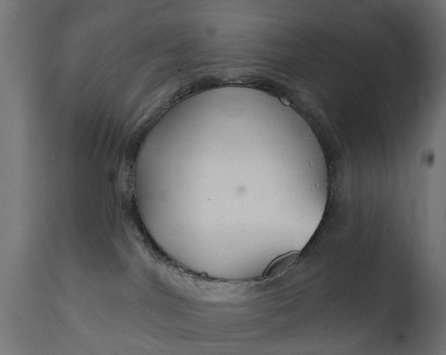 X0000111510044200907281325