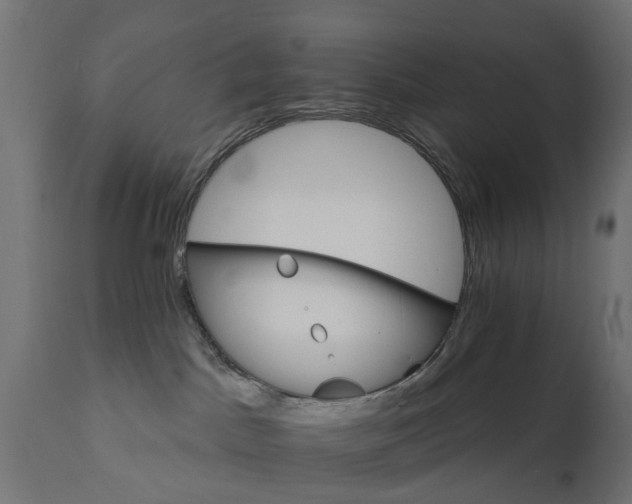 X0000111510045200907281325
