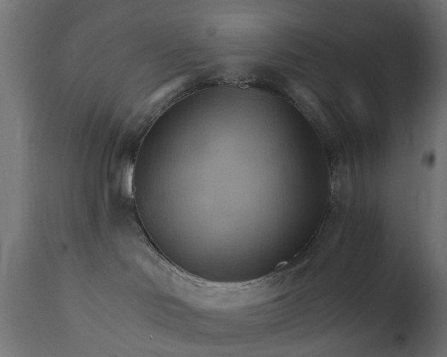 X0000111510046200907281325