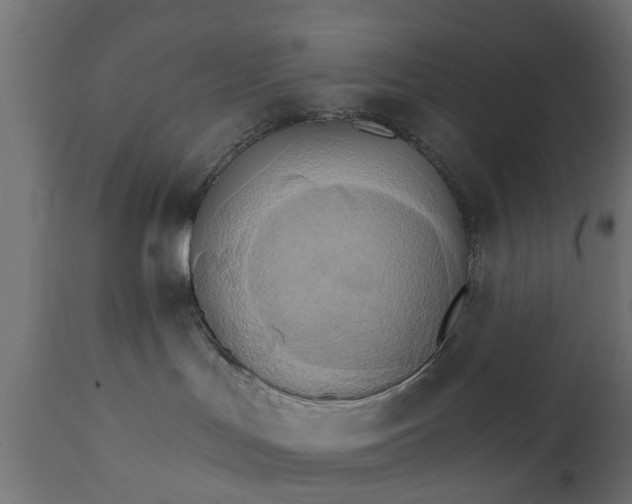 X0000111510047200907281325