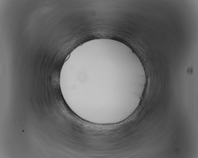 X0000111510048200907281325
