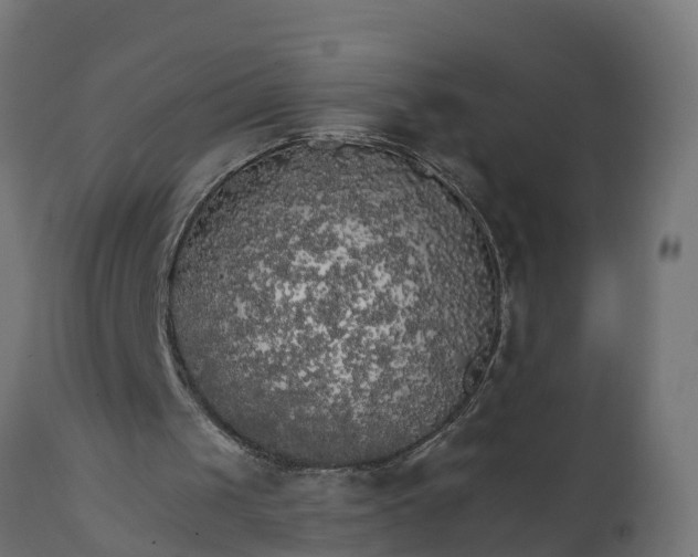 X0000111510049200907281324