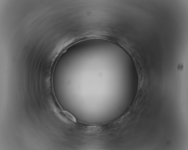 X0000111510050200907281324