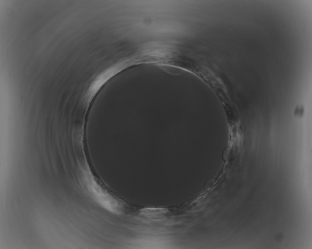 X0000111510051200907281324