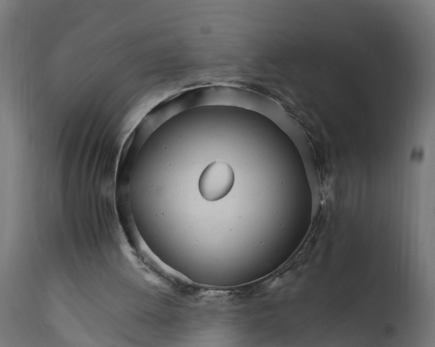 X0000111510052200907281324