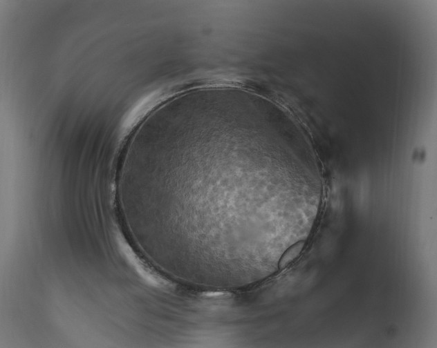 X0000111510053200907281324