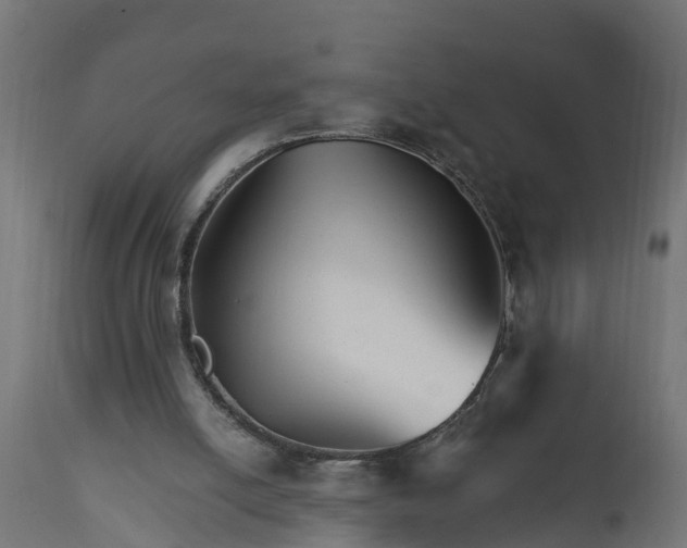 X0000111510054200907281324