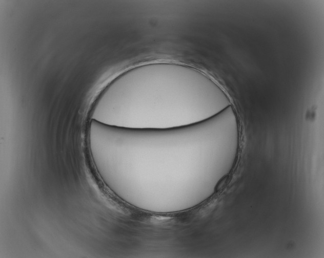 X0000111510055200907281324