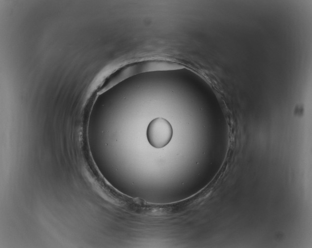 X0000111510056200907281324