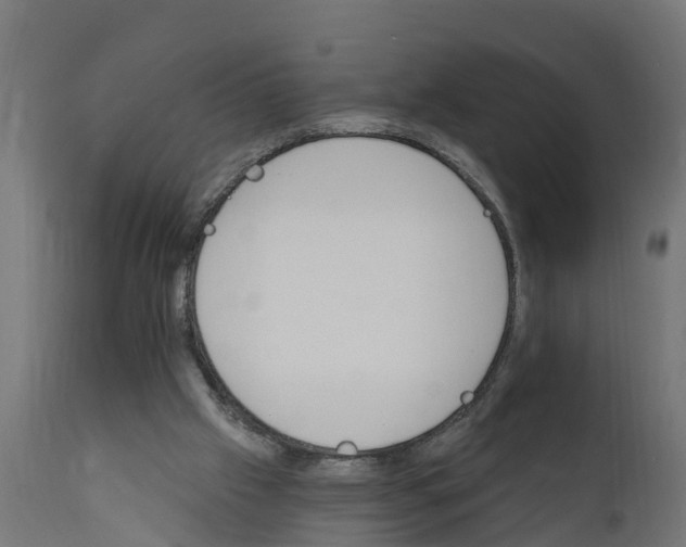 X0000111510057200907281324