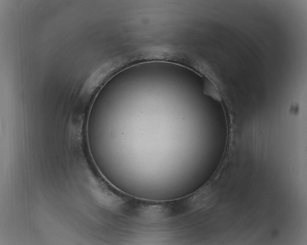 X0000111510058200907281324