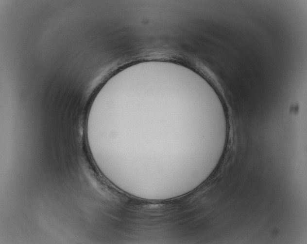 X0000111510059200907281324