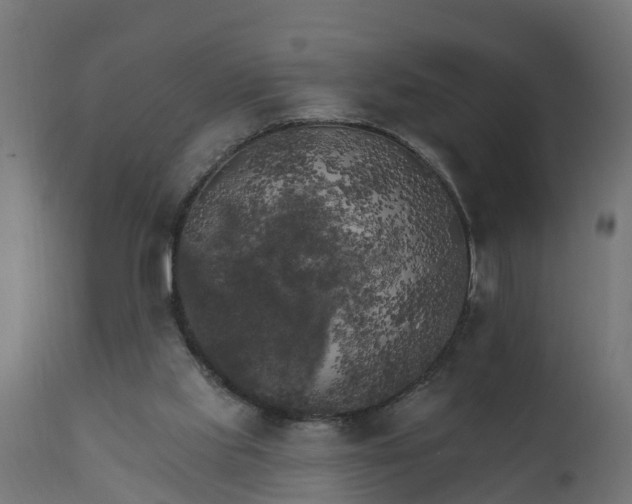 X0000111510061200907281324