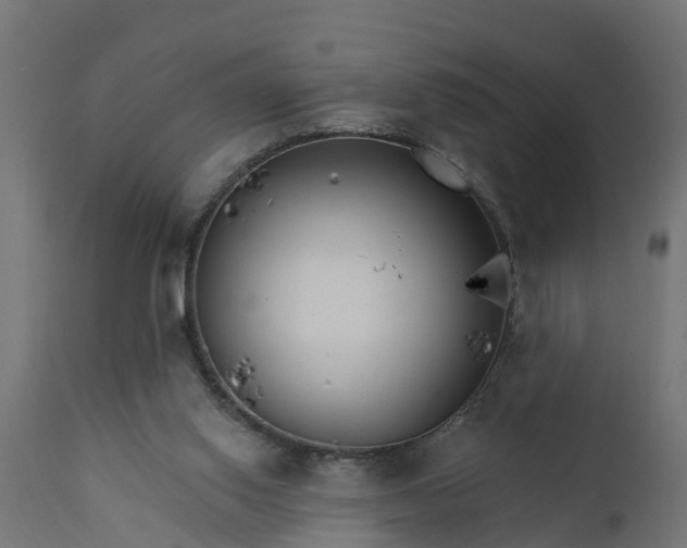 X0000111510062200907281324