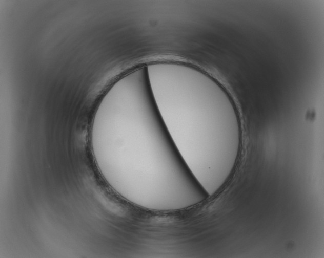 X0000111510063200907281324