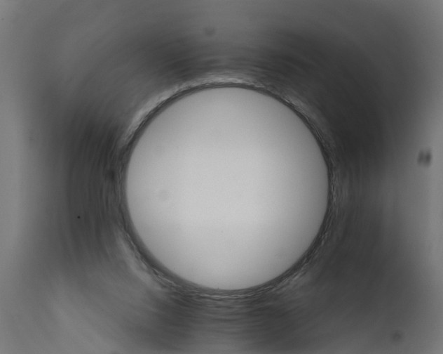 X0000111510064200907281324