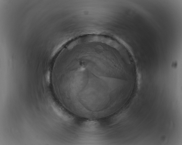 X0000111510067200907281324