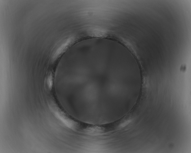 X0000111510069200907281324