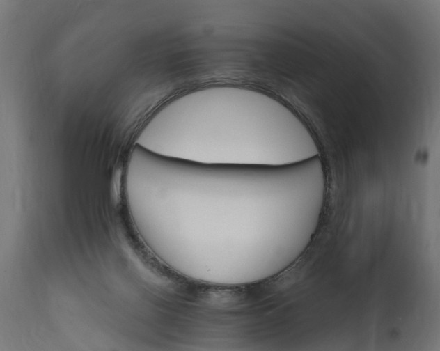 X0000111510070200907281324