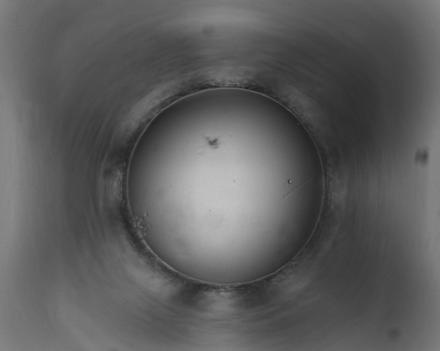 X0000111510071200907281324