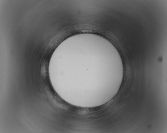 X0000111510074200907281324