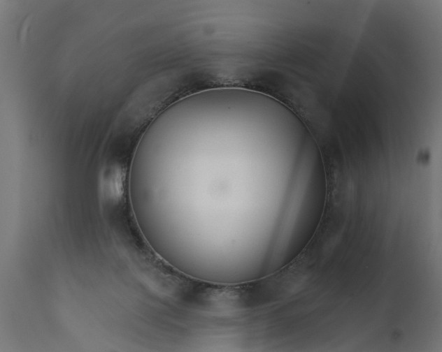 X0000111510075200907281324