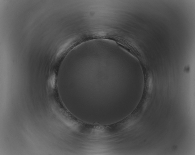 X0000111510076200907281324