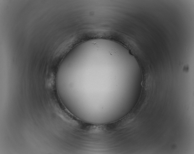 X0000111510077200907281324