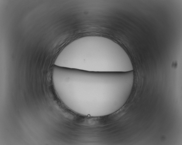 X0000111510078200907281324
