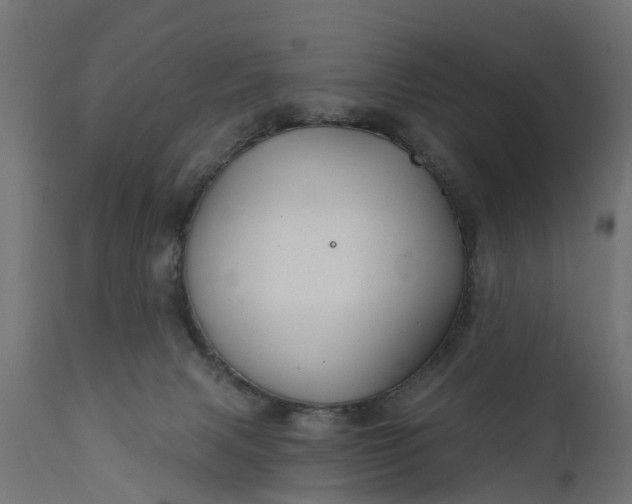 X0000111510079200907281324