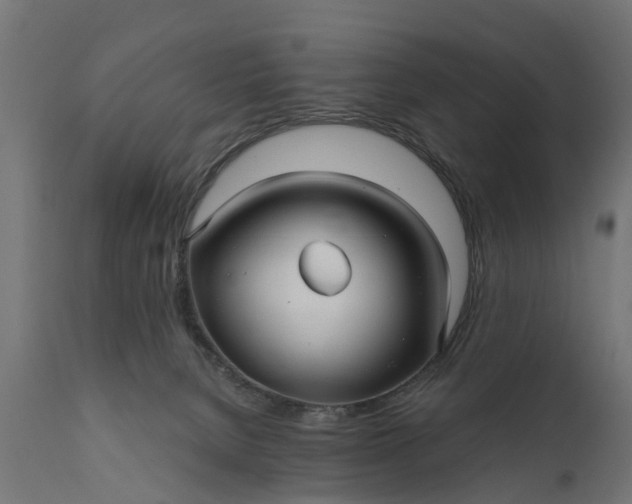 X0000111510080200907281324