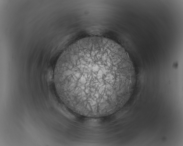 X0000111510081200907281324