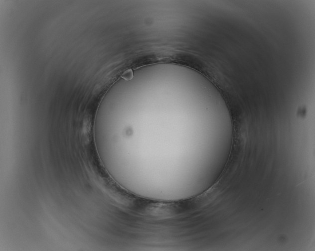 X0000111510082200907281324
