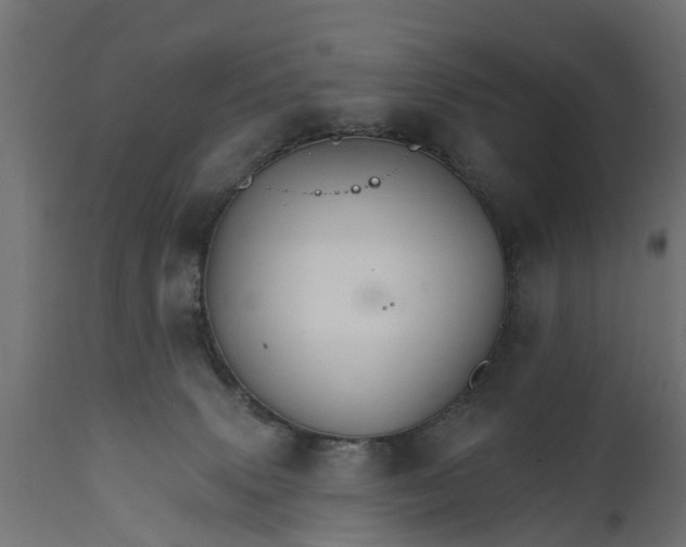 X0000111510083200907281325