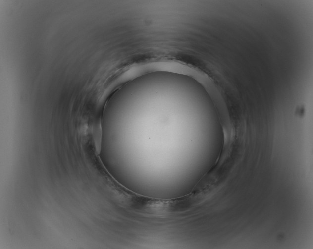 X0000111510084200907281325